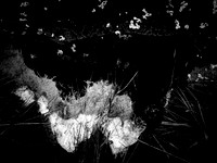 251017-20