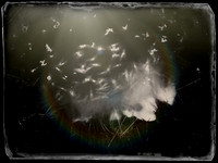 200917-6