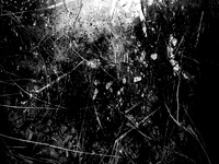 261017-10