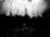 271017-9