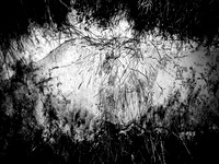 271017-41