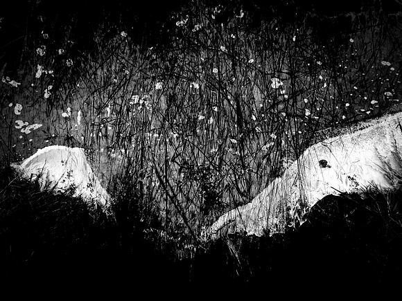 271017-237