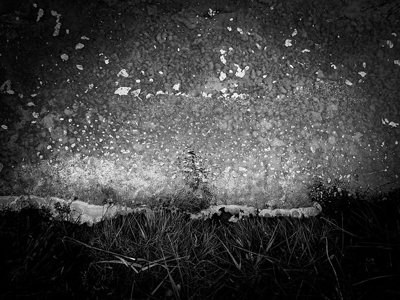 ALICE-28