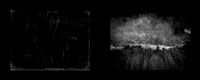 lento1-50-14