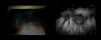 lento1-50-16