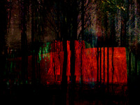 RED-5