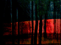 RED-7