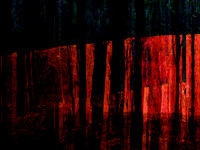 RED-11