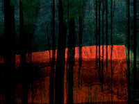 RED-15