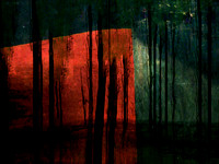 RED-20