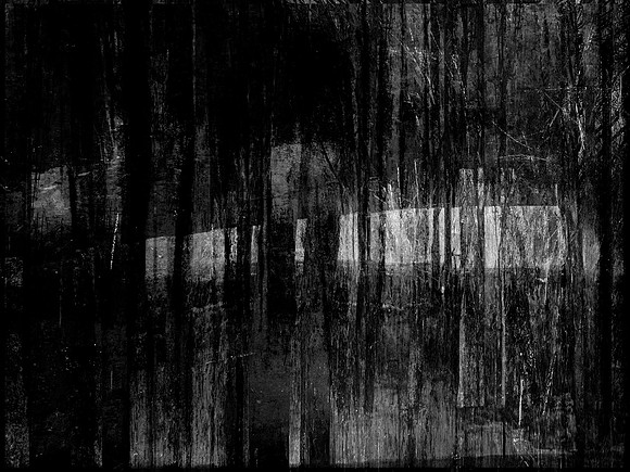 311017-24