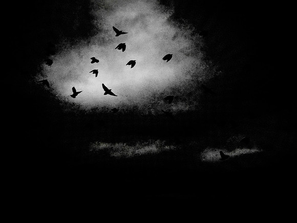 260717-25-Edit