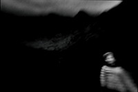 CONTRASTED GALLERY