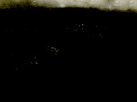 HINTERLAND-14