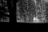 2013-09-22-356