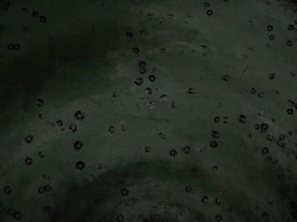 5-39