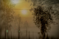 agra #82