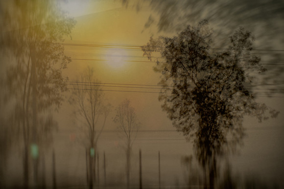 agra #82