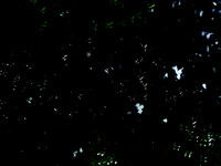 1 -5-2