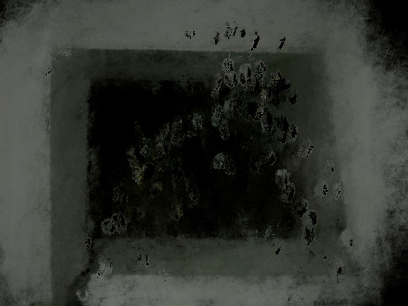 OXYCONTIN-3