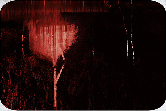 13-56