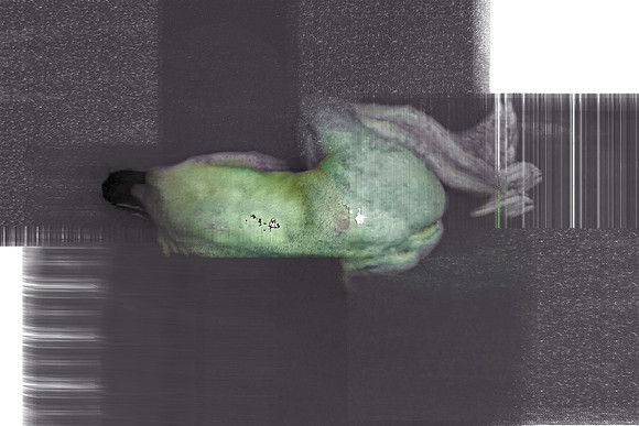 2-21