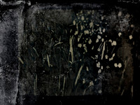 070917-5-Edit