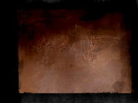 SHADOW-3