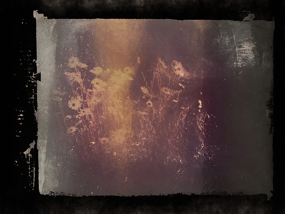 SHADOW-4