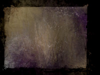 SHADOW-9