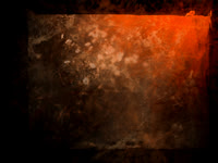 SHADOW-10