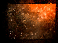 SHADOW-11