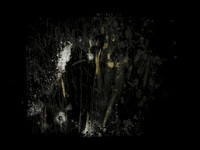 SHADOW-18