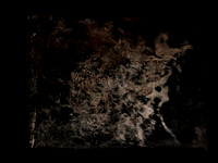 110917-4-Edit