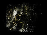 SHADOW-19