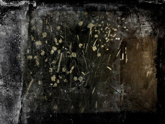 SHADOW-21