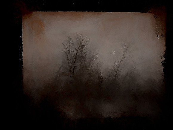 SHADOW-31