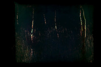 110917-19-Edit