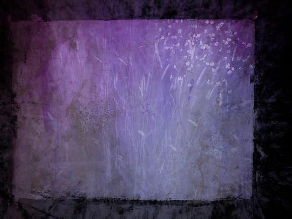 SHADOW-71