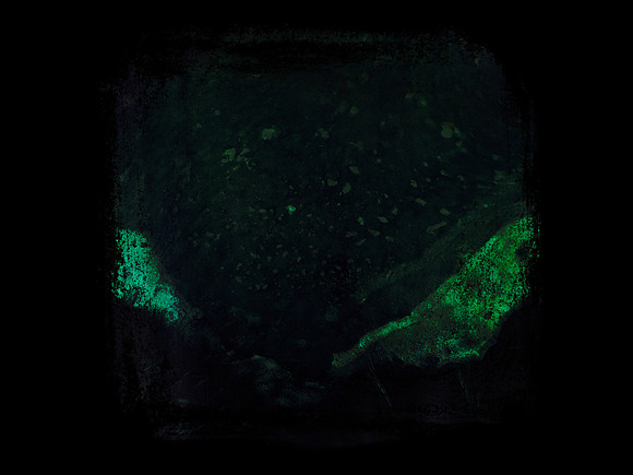 SHADOW-104