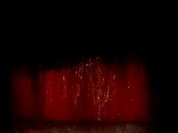 SHADOW-1-Edit-Edit