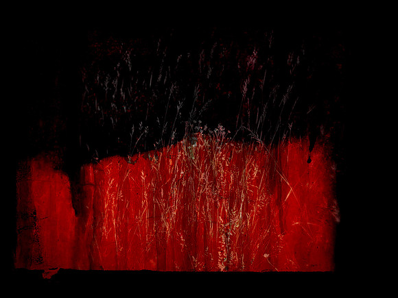 SHADOW-1-Edit