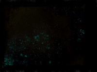 SHADOW-2-Edit-Edit