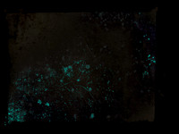 SHADOW-2-Edit