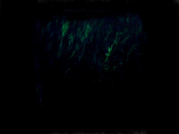 shadow-9-Edit-Edit