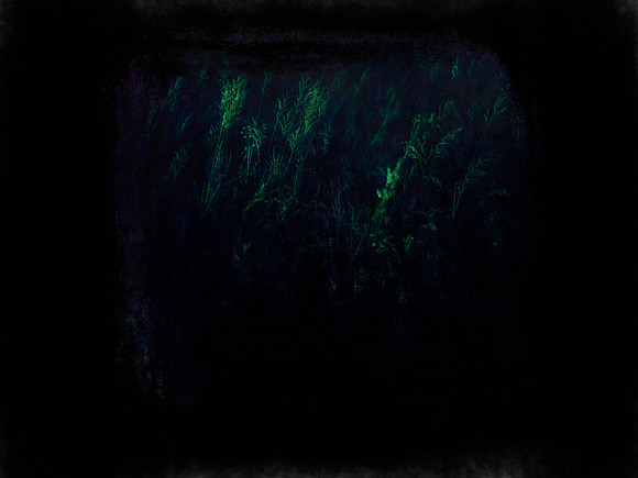 shadow-9-Edit-Edit