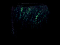 shadow-9-Edit