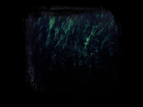 shadow-9-Edit