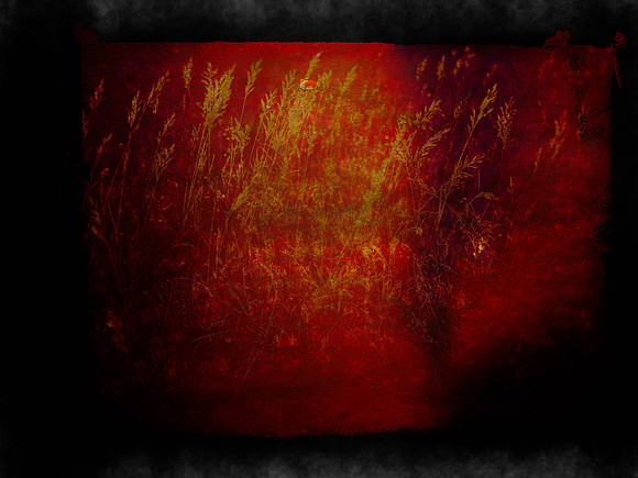 shadow-16-Edit-Edit