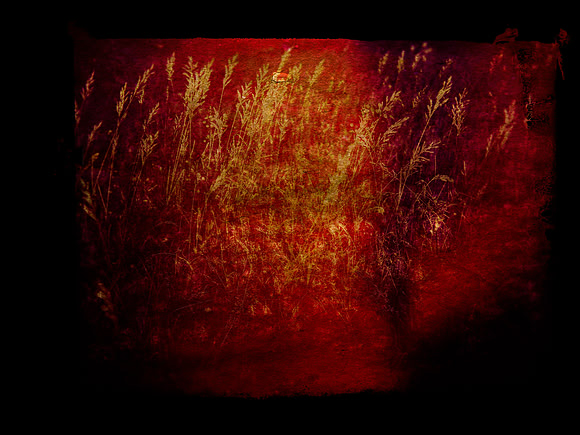 shadow-16-Edit
